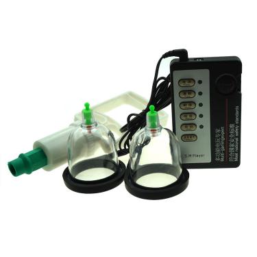 A Pair Of Electric Shock Female Breast Pump Accessories