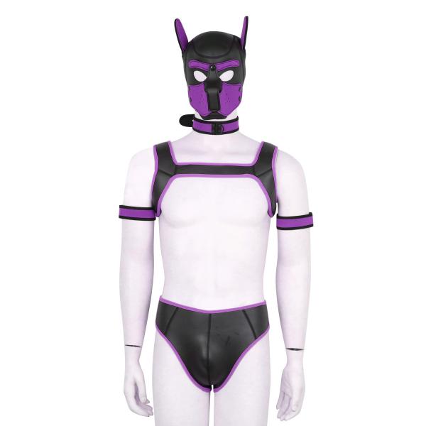 Hot Sale Dog Head Mask Collar Harness Armbelt Pants Kits Body Harness Belt Kits for Men