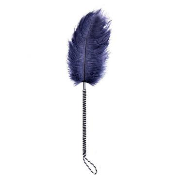 SM Sex Props Couple Foreplay Flirtatious Feather Stick Toy Flirtatious Stick Adult Sex Toys