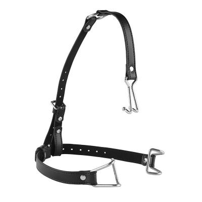 SM Sex Toys Mouth Plug Flail Mouth Hook Nose Hook Sexual Stimulation Master Slave Game