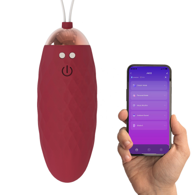 Multiple Modes Wireless Remote Control G Spot Vibrating Eggs Vibrator Jump With App