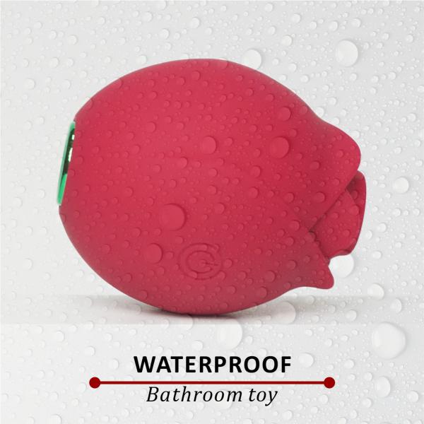 Wholesale Customized Logo Usb-powered Vibrator  Possy Sucker  Rose Mix Combo Dildo And