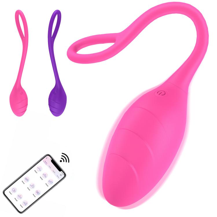 Remote Control Silicone Egg Vibrator With Bluetooth 10 Vibration Modes G-spot Massager For Couples Usb Power Wearable