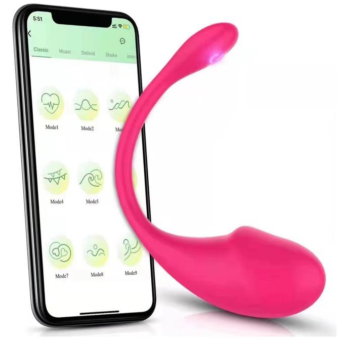 App  Remote Control Couples Vibrator Silicone Clitoral Wearable Panties Vibrador Girl  For Woman