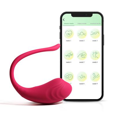 App  Remote Control Couples  Silicone Clitoral Vibrator Wearable Panties Vibrador Girl  Adventure For Woman