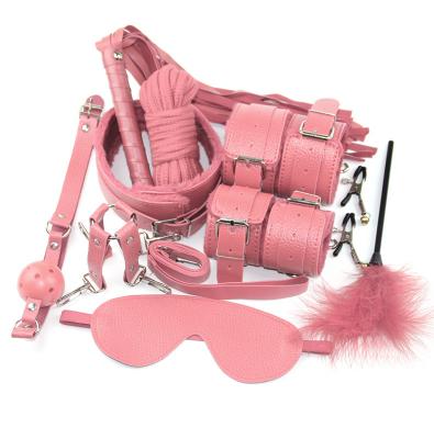 New Arrival Sex Restraints  Kit Bdsm Tool 10pcs Rope Whip Gag Anal Plug Bondage Gear Set